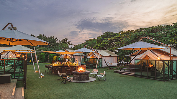 Rewards Suites & Glamping Bar Experience