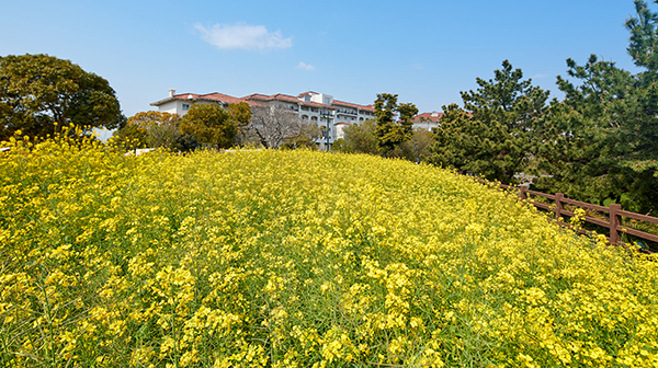 Rewards Spring Moments