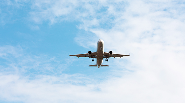 Rewards The Plane to Shilla Stay