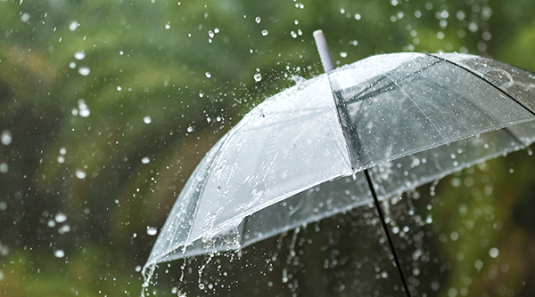 Rewards Monsoon Hocance