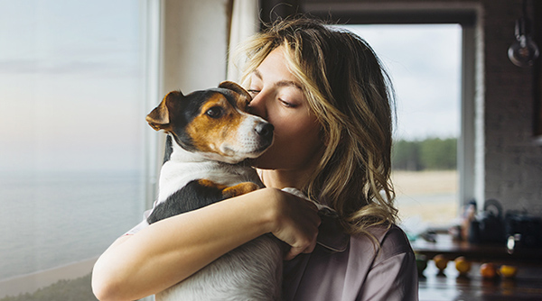 Rewards Cozy with My Pet
